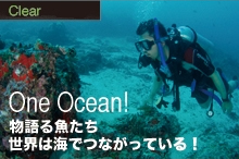 物語る魚たち 世界は海でつながっている！