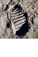 quest